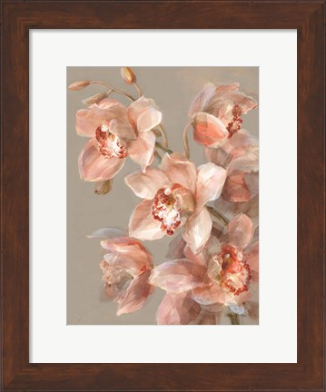 Framed Delicate Orchid II Print
