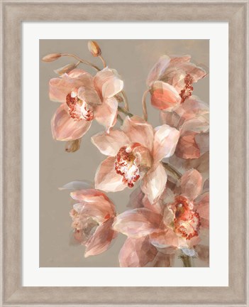 Framed Delicate Orchid II Print