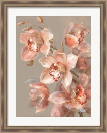 Framed Delicate Orchid II Print