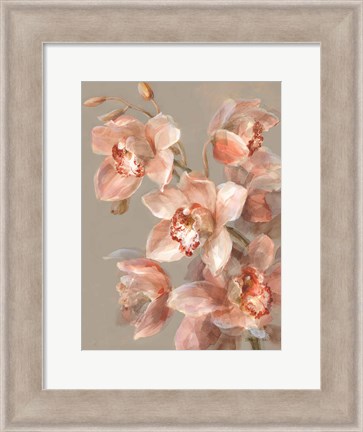 Framed Delicate Orchid II Print