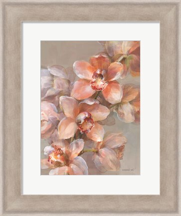 Framed Delicate Orchid I Print