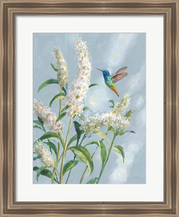 Framed Hummingbird Spring II Soft Blue Print