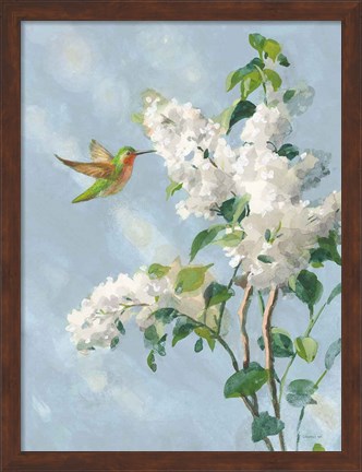 Framed Hummingbird Spring I Soft Blue Print