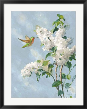 Framed Hummingbird Spring I Soft Blue Print