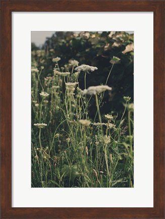 Framed Running Wild II Print