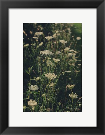 Framed Running Wild I Print