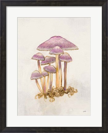 Framed Woodland Mushroom III Print