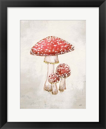 Framed Woodland Mushroom II Print