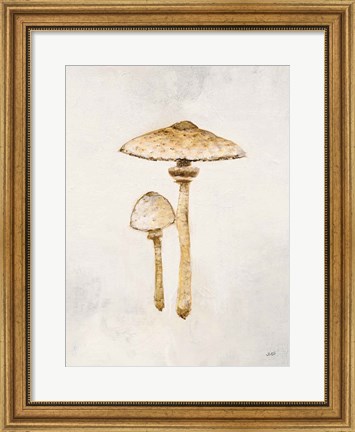 Framed Woodland Mushroom I Print