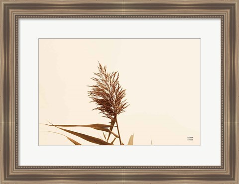 Framed Summer Reeds I Print