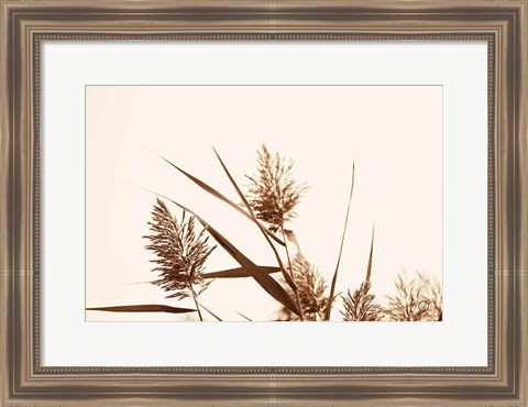 Framed Country Grasses I Print