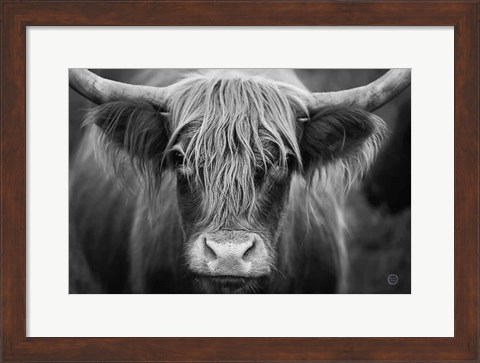 Framed Cow Nose BW Print