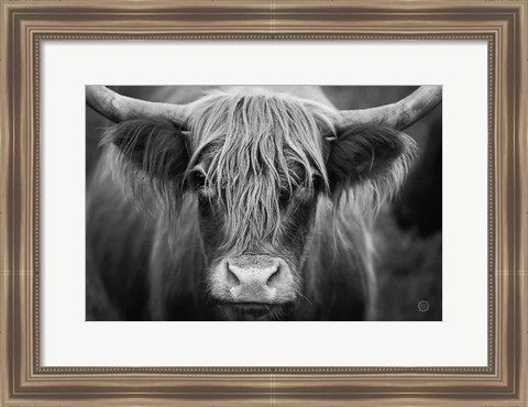 Framed Cow Nose BW Print