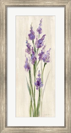 Framed Farm Flower II Light Print