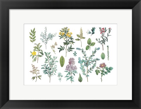 Framed Victorian Garden Bright IV Print