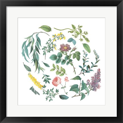 Framed Victorian Garden Bright I Print