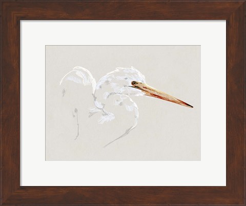 Framed Bright Egret Sketch I Print