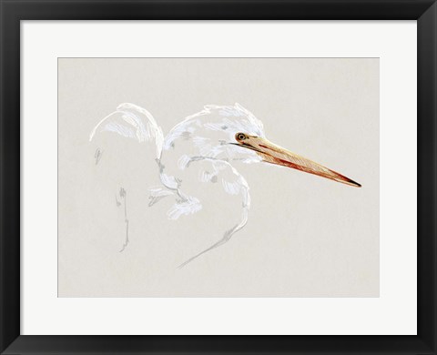 Framed Bright Egret Sketch I Print