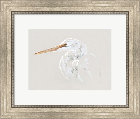 Framed Bright Egret Sketch II Print