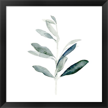 Framed Summer Olive Branch I Print