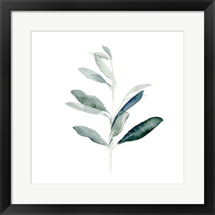 Framed Summer Olive Branch I Print