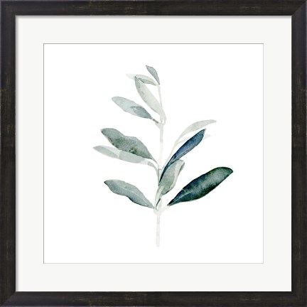 Framed Summer Olive Branch I Print