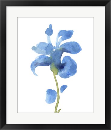 Framed Striking Blue Iris III Print