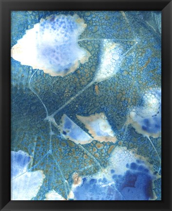 Framed Cyanotype Leaves I Print