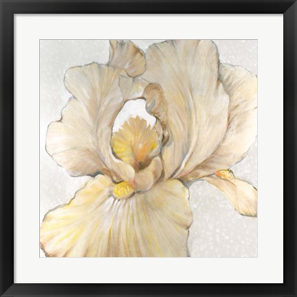 Framed Iris Cream I Print