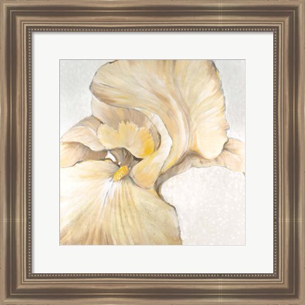 Framed Iris Cream II Print