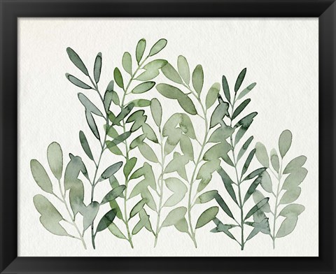 Framed Foraged Greens II Print