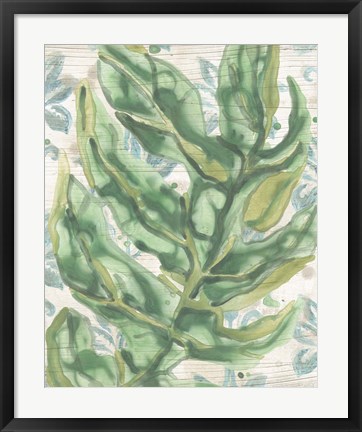 Framed Palms &amp; Patterns II Print