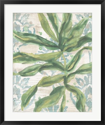 Framed Palms &amp; Patterns IV Print