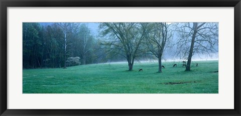 Framed Foggy Morning and Deer Print