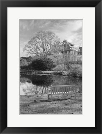 Framed Coastal Oak Series No. 63 Print