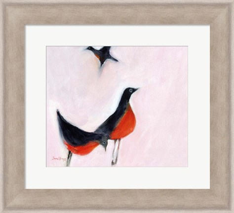 Framed Robins from Memory Print