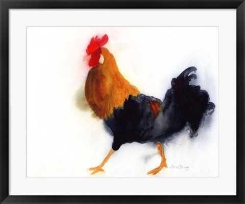 Framed Rooster on Kauai at Lydgate Park Print