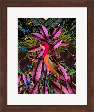 Framed Tropical Jungle No. 2 Print