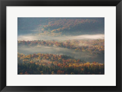 Framed Misty Morning Print