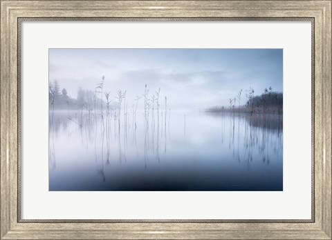 Framed Reflections in a Lake 2 Print