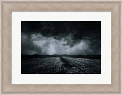 Framed Field Print