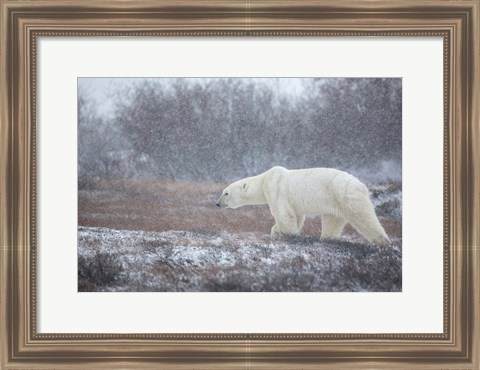 Framed Let it Snow! Print