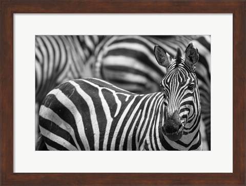 Framed Stripes Print