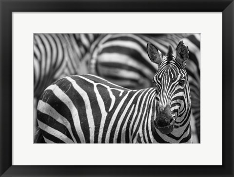 Framed Stripes Print