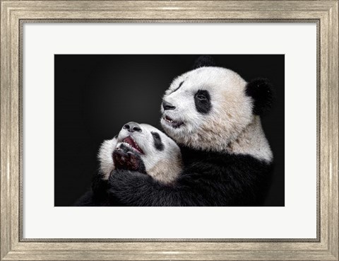 Framed Pandas Print