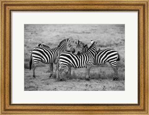 Framed Stripes Print