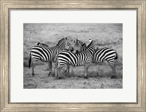 Framed Stripes Print