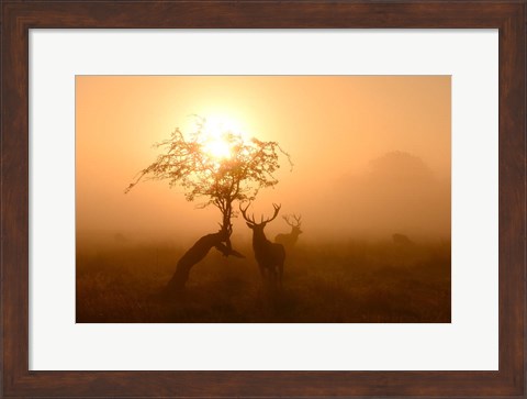 Framed Guardians of Light Print