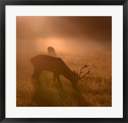 Framed Light Means Everything Print