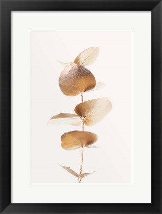 Framed Eucalyptus Gold No 6 Print